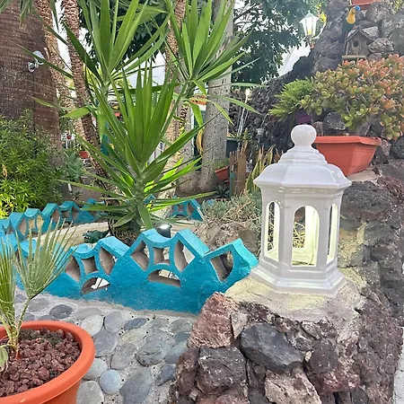 Party Coast For Young Travelers Плая-де-лас-Америкас